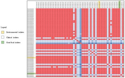 Agritourism and Kidding Season: A Large Outbreak of Human Shiga Toxin-Producing Escherichia coli O157 (STEC O157) Infections Linked to a Goat Dairy Farm—Connecticut, 2016